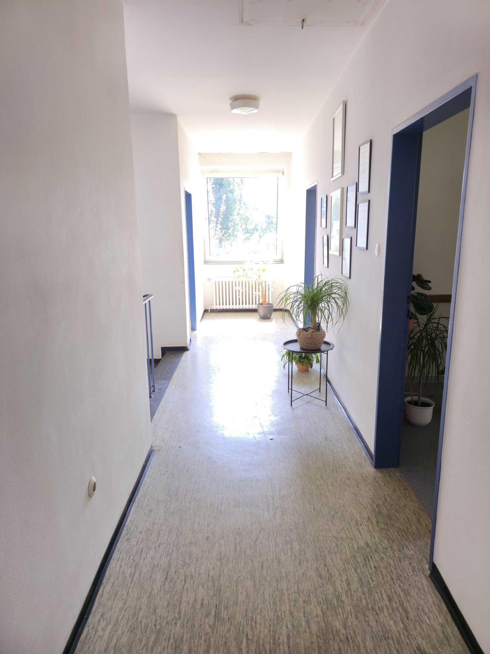 Foto der Immobilie (4817)
