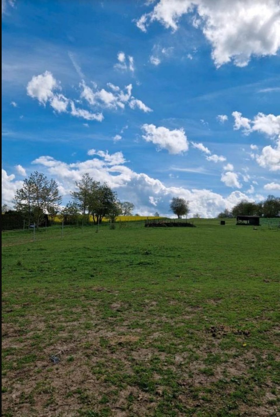 Foto der Immobilie (9760)
