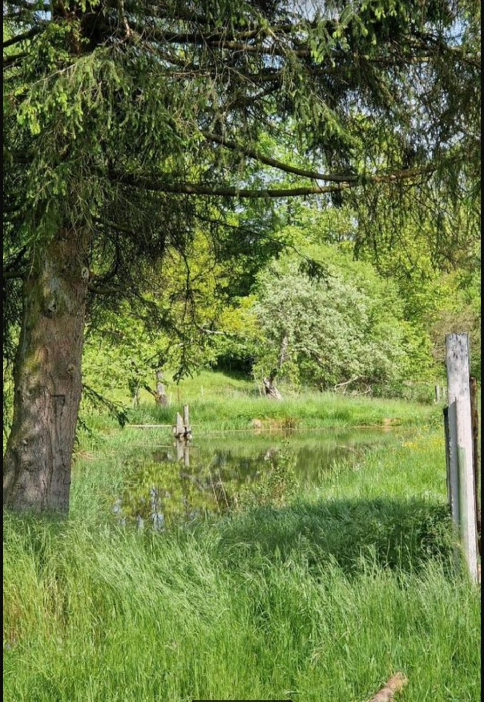 Foto der Immobilie (9762)