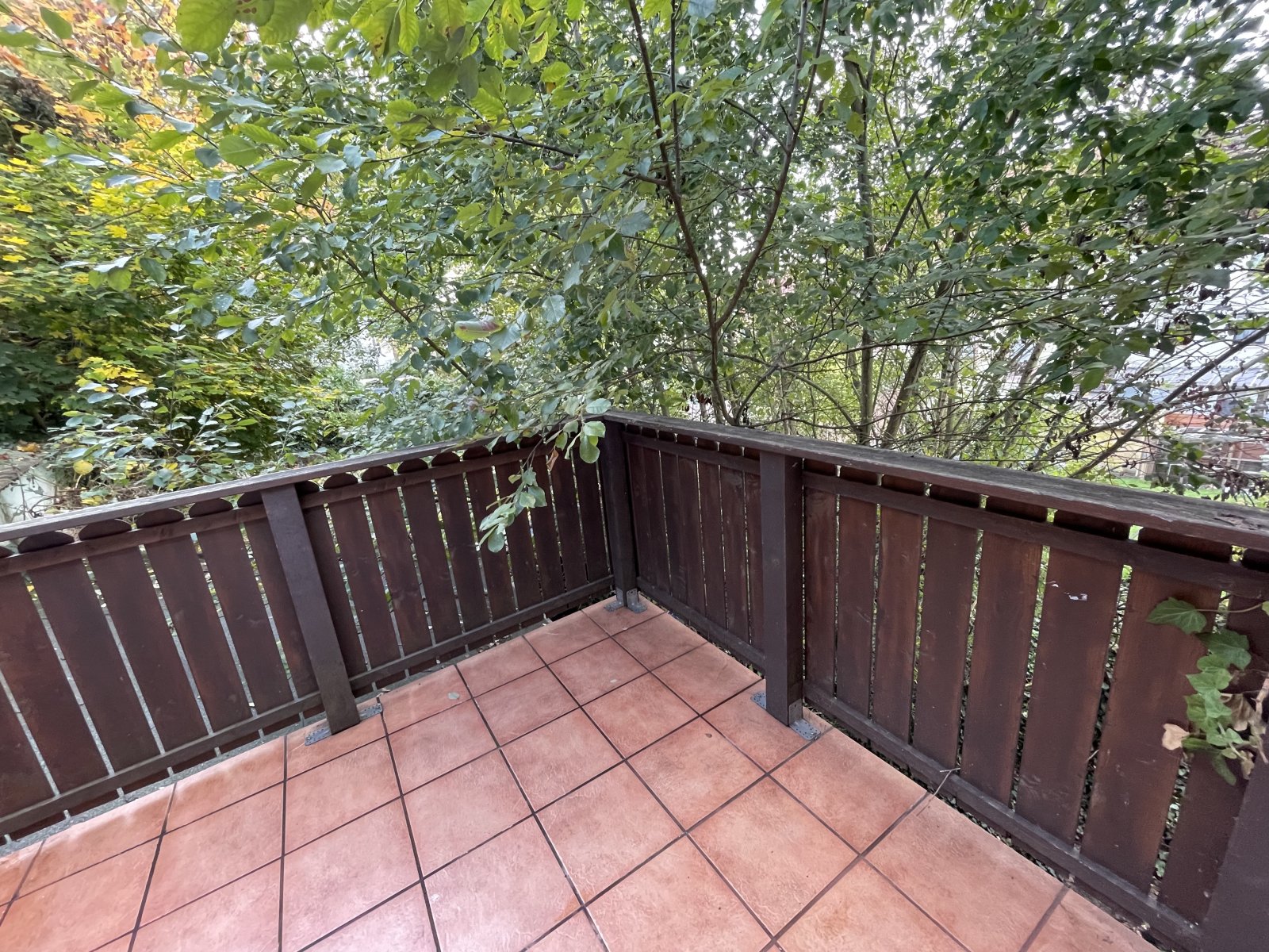 Foto der Immobilie (7985)