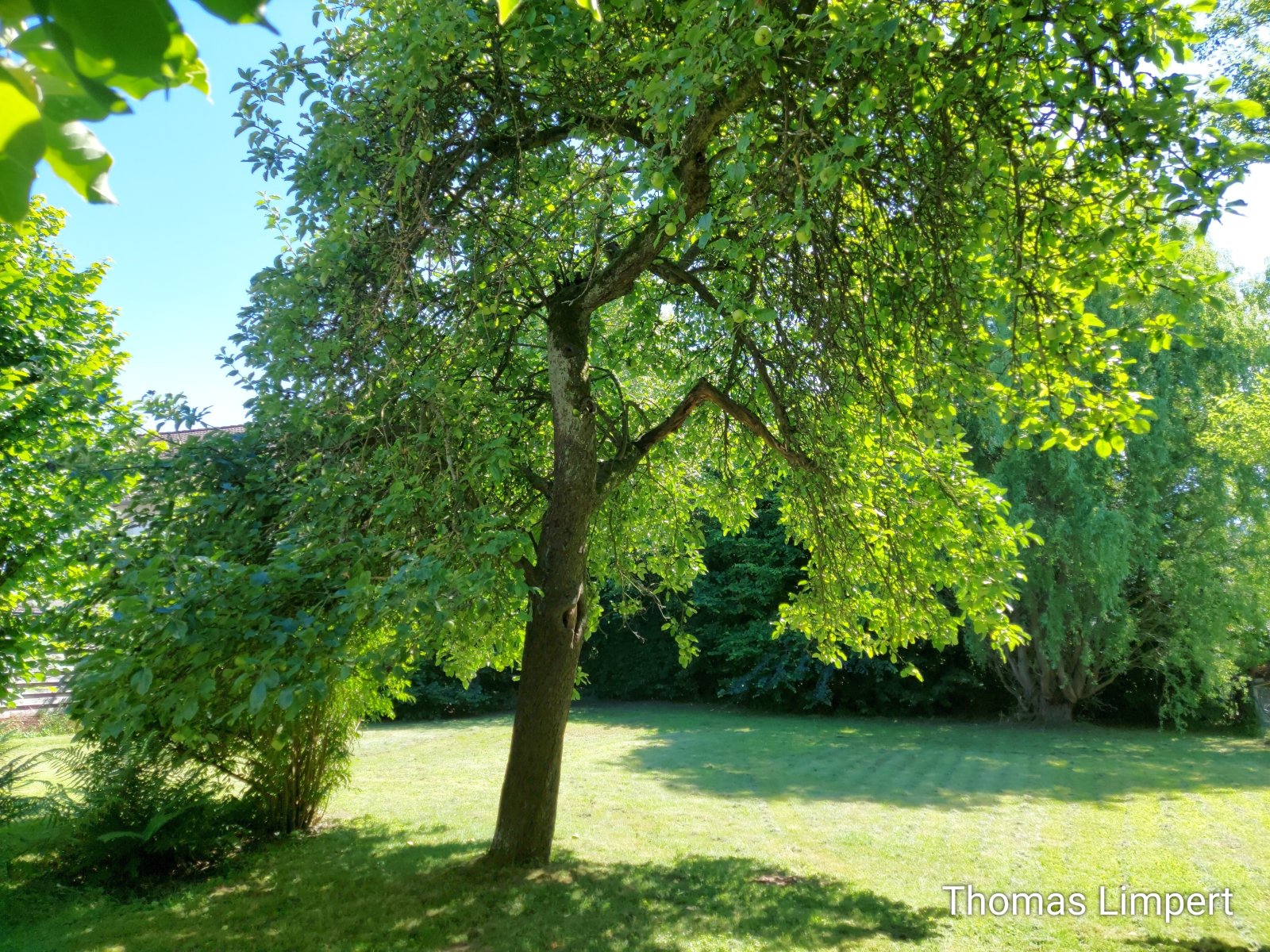Foto der Immobilie (8869)
