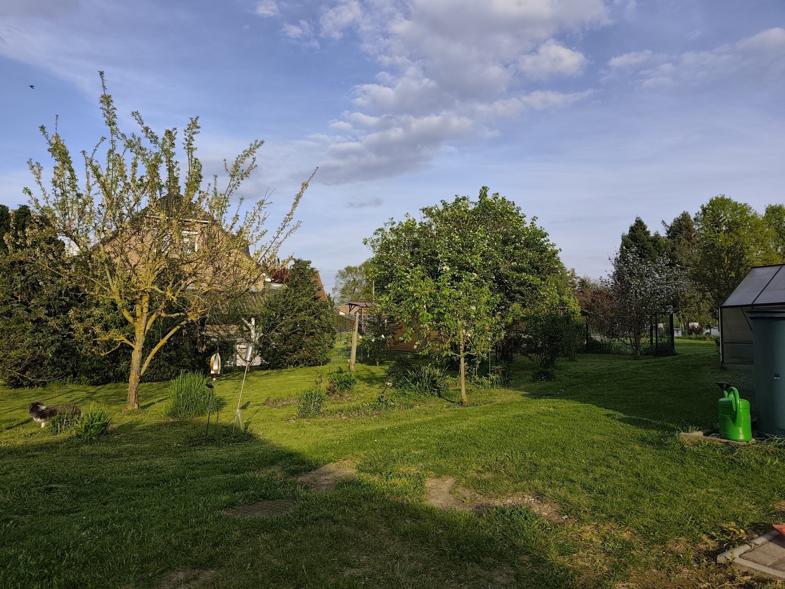 Foto der Immobilie (8776)