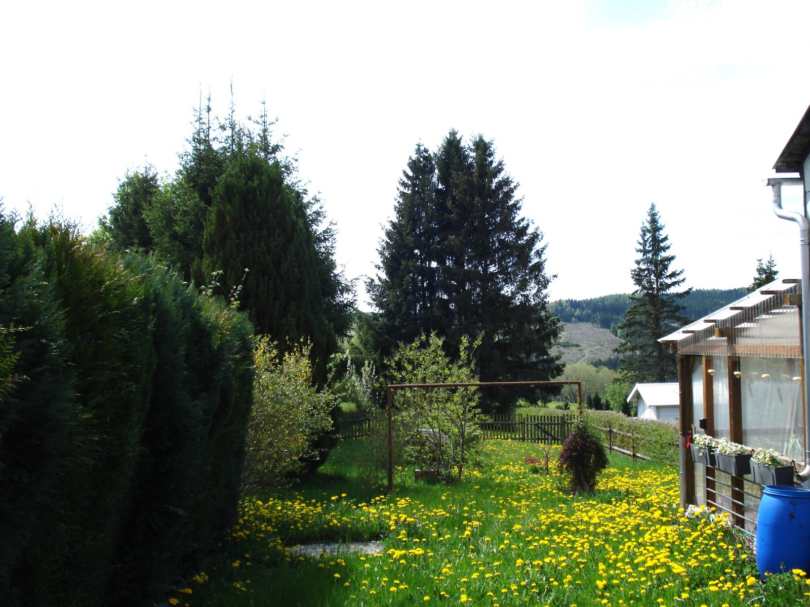 Foto der Immobilie (9932)