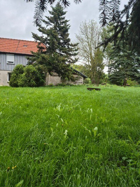 Foto der Immobilie (9953)