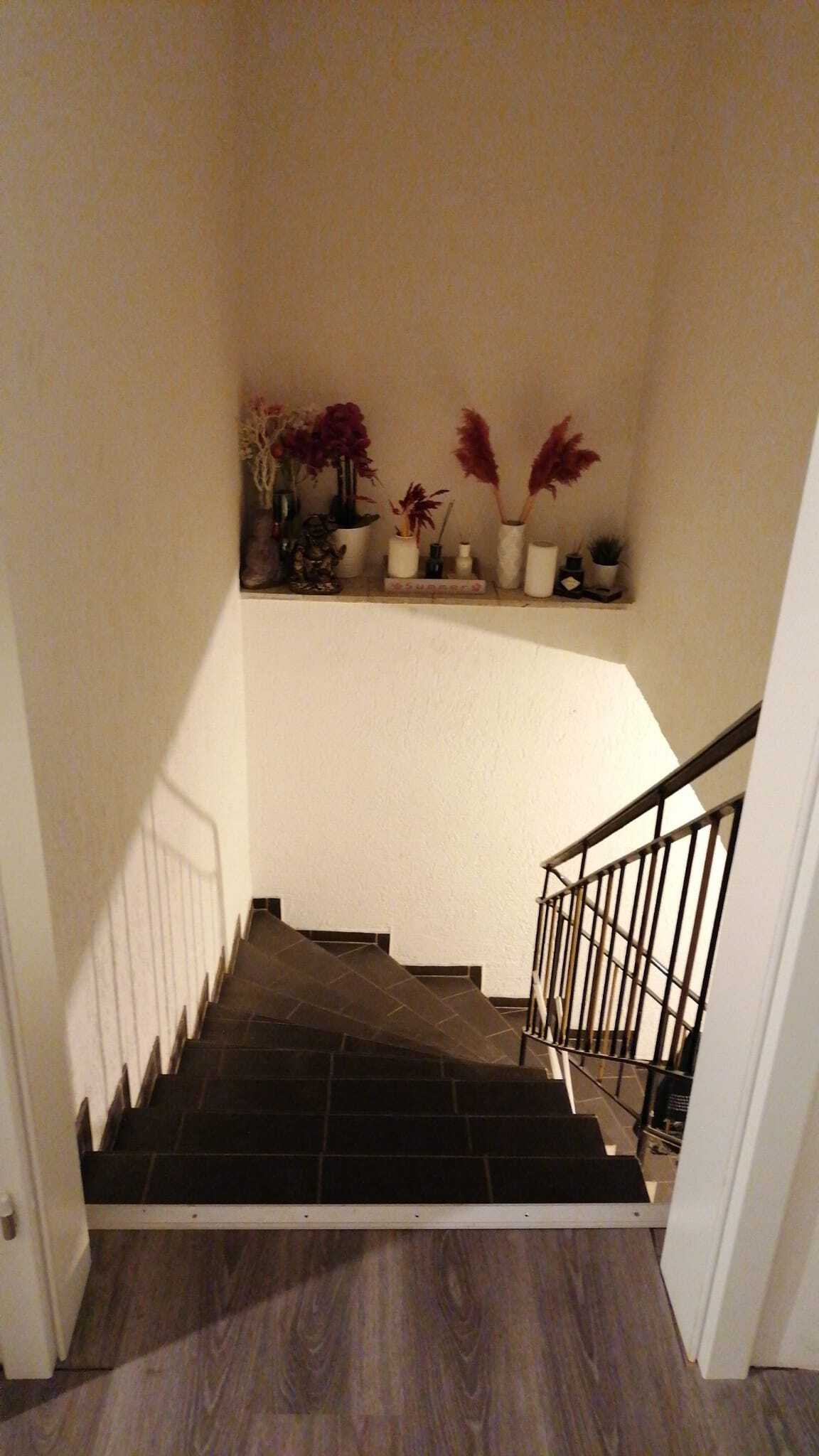 Foto der Immobilie (11447)